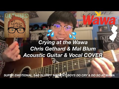 Crying at the Wawa - Chris Gethard & Mal Blum (Guitar Cover)