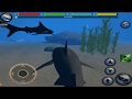 Great White Shark Family Simulator 3D Ultimate Shark Simulator By Gluten Free Games