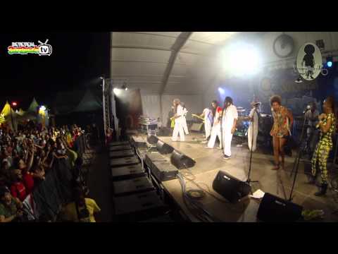 Train To Roots @ Rototom Sunsplash 2013