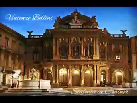 Vincenzo Bellini - Capriccio, Symphony in C minor