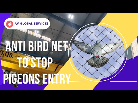 Industrial Bird Netting