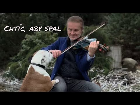 Pavel Šporcl_Chtíc, aby spal 💖_Cristmas 2023