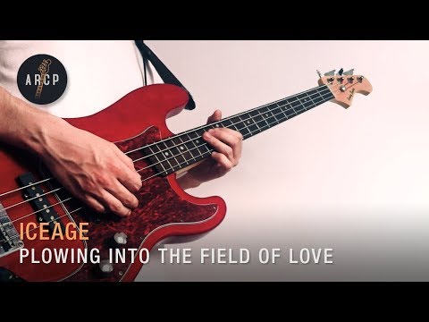 Plowing Into The Field Of Love - Iceage