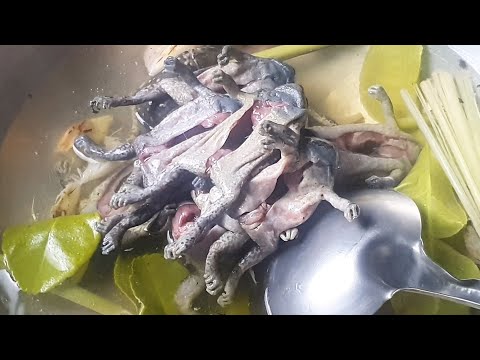 This is the best frog soup ever! I believed that everyone loves incredible food recipe!