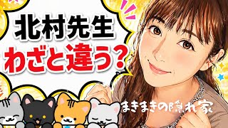 【まさ6切り抜き】2026年4月21日  日本保守党の定例記者会見の出来事について考察するまきまき