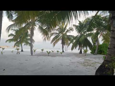 Beach @ Paradise Island Resorts Maldives (3)