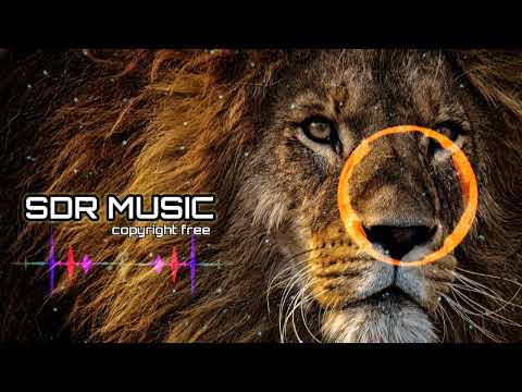 JVLA - Such a Whore (Stellular Remix) (SDR Release) [Coyright Free 100%] | Background Music.