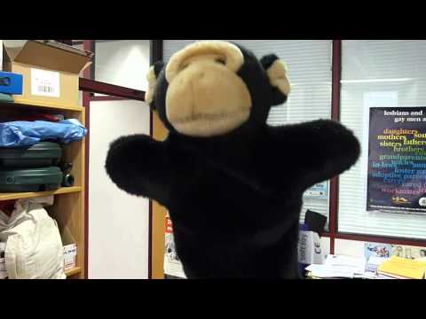 Happy birthday, Tallulah!