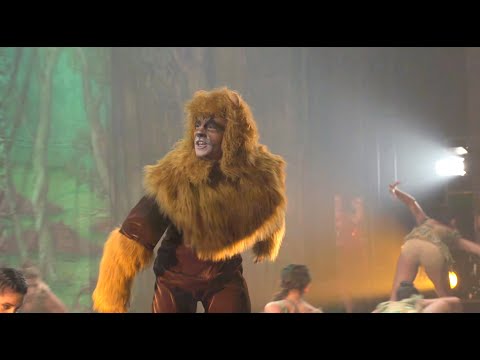 Fábrica de Chocolate-2019. Nosso Leão de “Dançando no mundo de Oz”