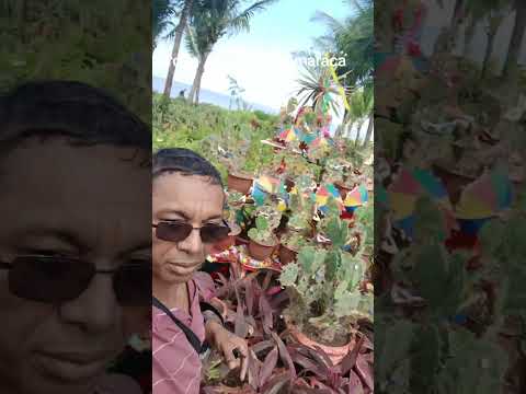 praça do poeta #itamaraca #pernambuco