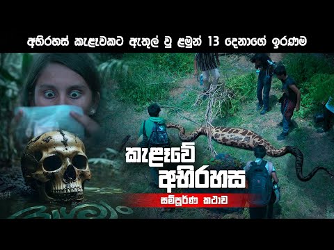 කැළෑවේ අභිරහස | Teenz Movie Explanation sinhala | Movie review sinhala | sinhala film review