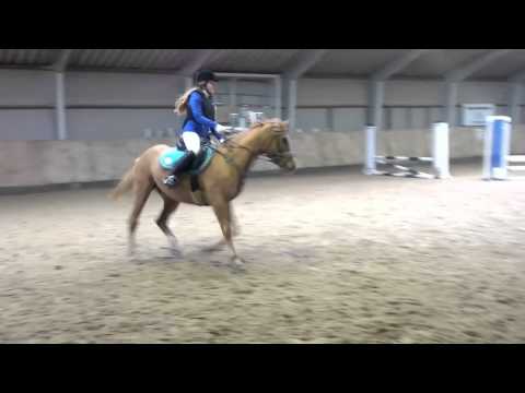 [Team Berwald] Celina Flodgaard Nyvang & Calibra til sløjfestævne i Kongsdal