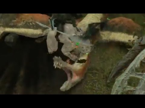 Shadow of War Random Moment: Dire Caragor vs. Drake