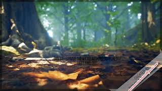 New Wilhelmsburger Sex-Forest Trailer!