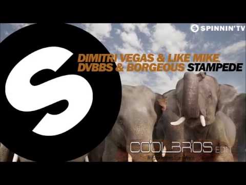 Dimitri Vegas & Like Mike vs DVBBS & Borgeous vs Wolfpack - Stampede Miracle (COOLBROS Edit)