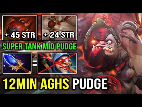 Don't Pick Meepo If There's Pudge | WTF 12Min Scepter +24 STR Flesh Heap Super Tank AoE Rot Dota 2