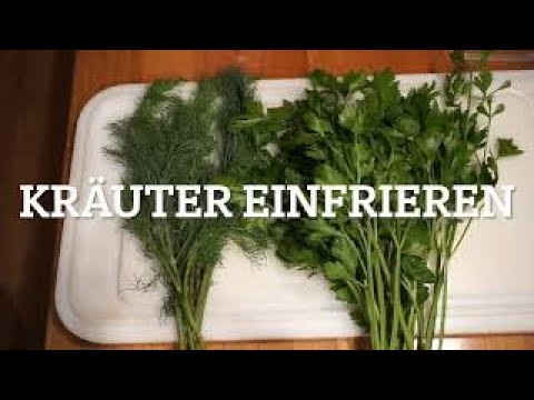 Kräuter einfrieren.