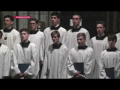 Ave Maria – Aneglus Domini, Franz Biebl gesungen von den Kölner Domchören