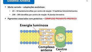 Fisiologia Vegetal - Centros Fotoquímicos de Reação