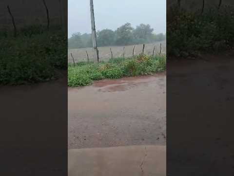 Chuva em Bela Vista do Piauí 03/01