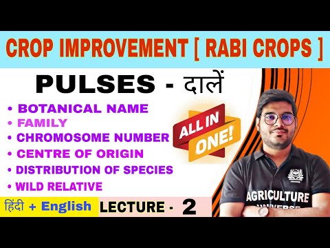 Crop Improvement rabi crops syllabus analysis bsc av 6th semester