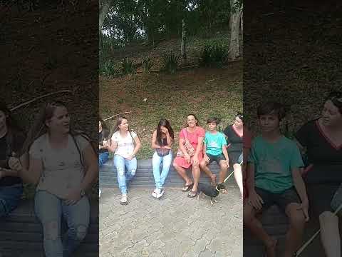 pedra dourada mg 2025