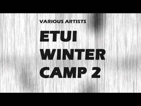 Insect O. - Transatlantic Chords