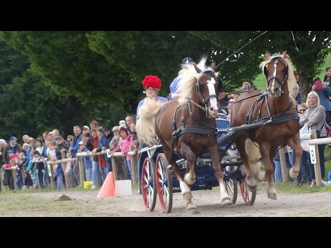 09. Wäldertriathlon vom RuFV St. Märgen  - Schauprogramm Rossfest 2025 in St. Märgen