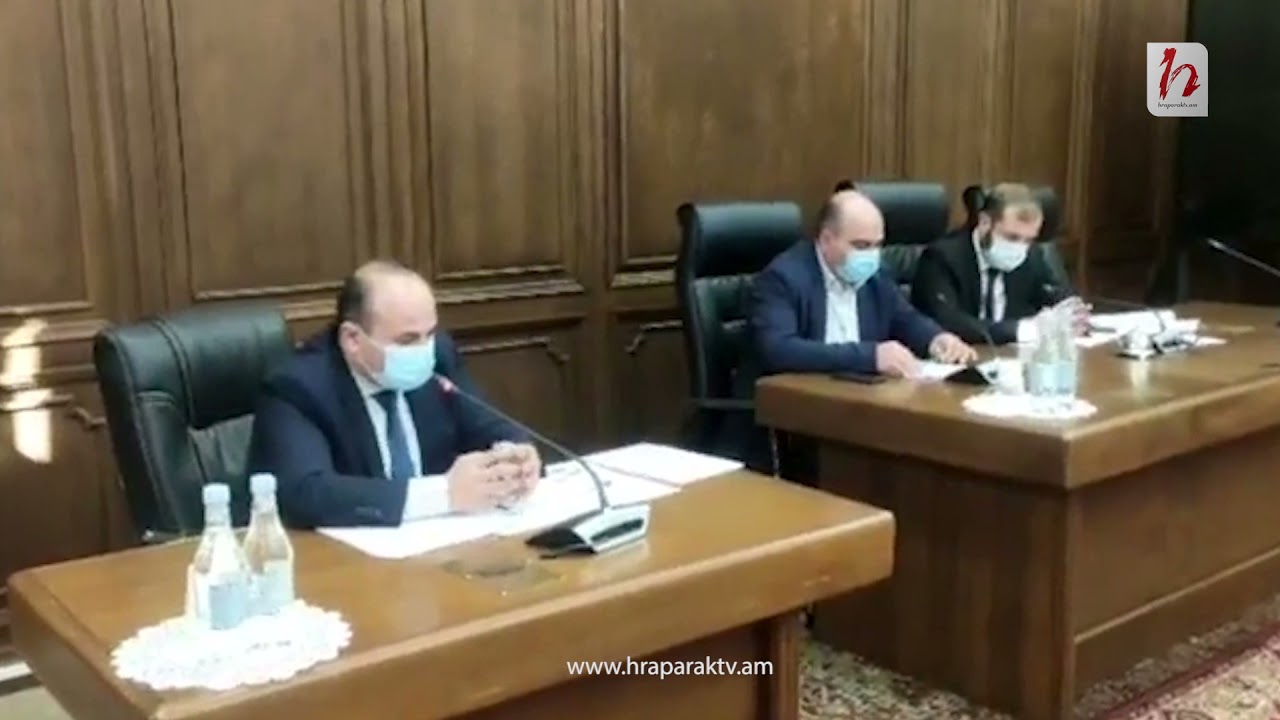 Լենա Նազարյանը քննադատեց սոցապնախարարության աշխատանքը