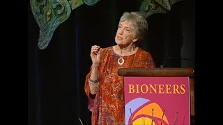 Video-Thumbnail von YouTube