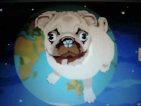Pimp My Pug Contest Winner Pimp-My-Pug-winner
