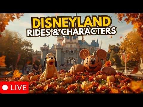 Live webcam of Disney Parks with Love