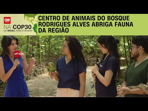 Conheça o Centro de Animais do Bosque Rodrigues Alves | LIVE CNN
