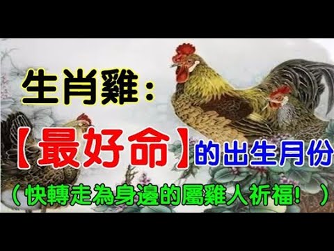 2005 生肖