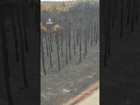 Drone shows scorched landscape after Spain wildfire | AJ Shorts