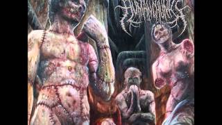 Human Chunks - Anatomical Artistic Deviancy (Nice To Eat You Records 2014 - Full Album)