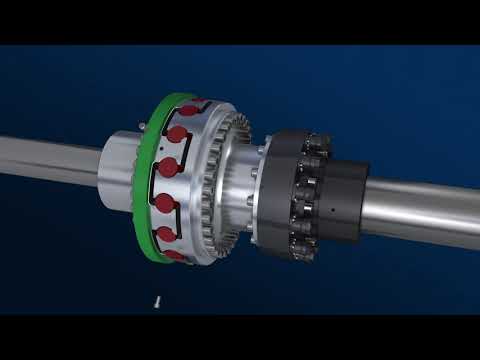 Elastische Klauenkupplung RINGFEDER® TNB BHDD mit Sicherheitskupplung RINGFEDER® TNT 2420