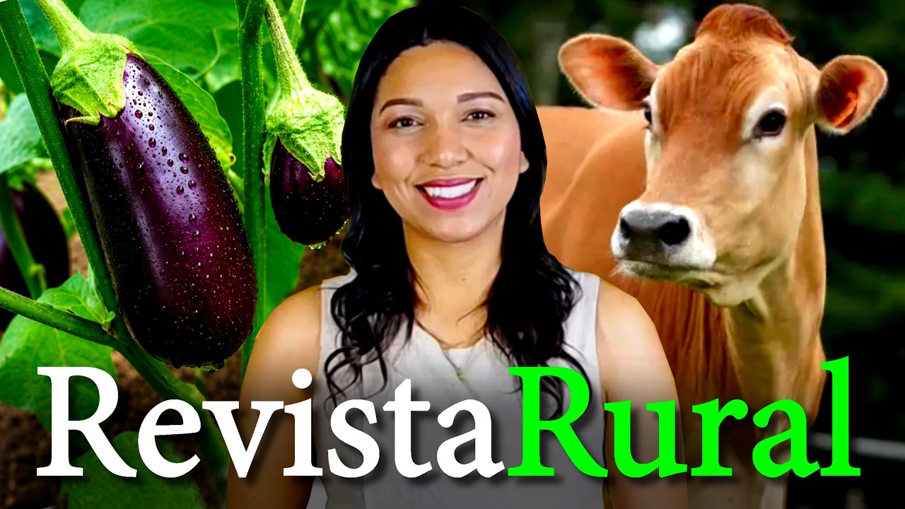 PROGRAMA REVISTA RURAL - 09/08/2026