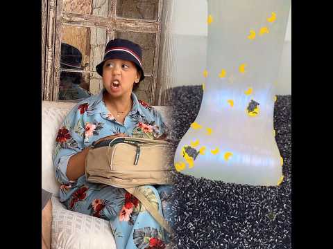 #saraelfadili #malak #comedy #humour #reels