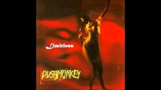 Pushmonkey - Limitless