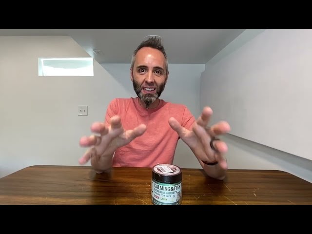 Best Calming Chews for Anxious Cats - close-up view