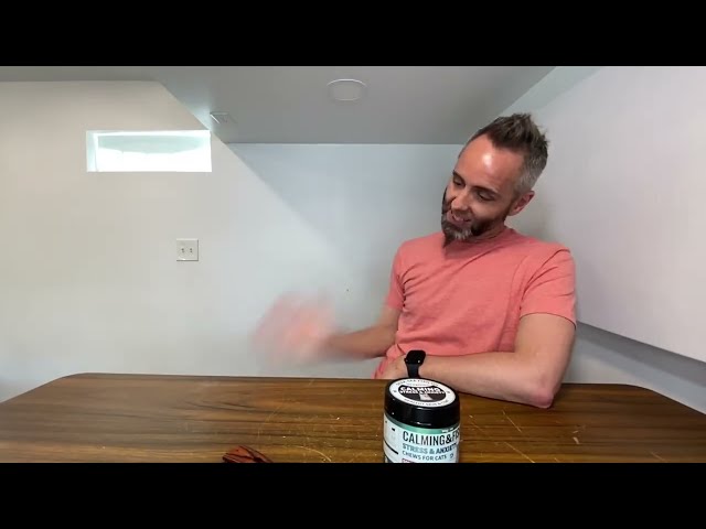Best Calming Chews for Anxious Cats - alternate angle