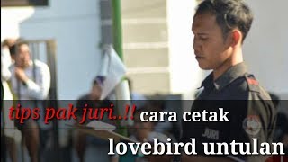 Download lagu tips mudah setting lovebird untulan mp3