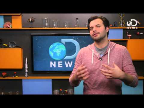 睡眠薬は本当にあなたの睡眠を助けますか？