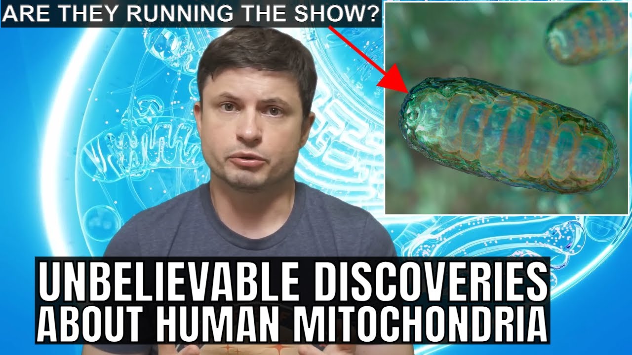 Are We Actually Controlled by Mitochondria? Mindblowing New Discoveries