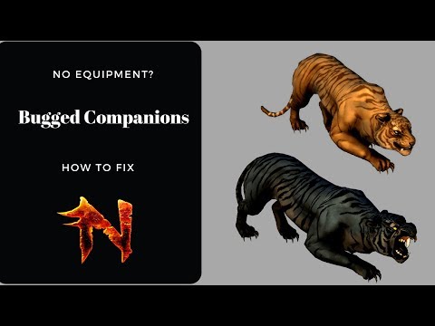 Neverwinter Mod 13:  Companion fix