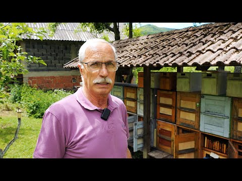 I thank bees for everything I have achieved in my life.