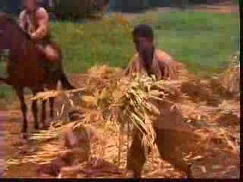 Huck Finn Trailer - Student production