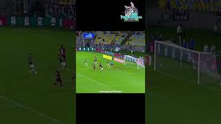 Gol anulado do Flamengo Carrascal impedido (Fluminense x Flamengo) Carioca 25/01/2026