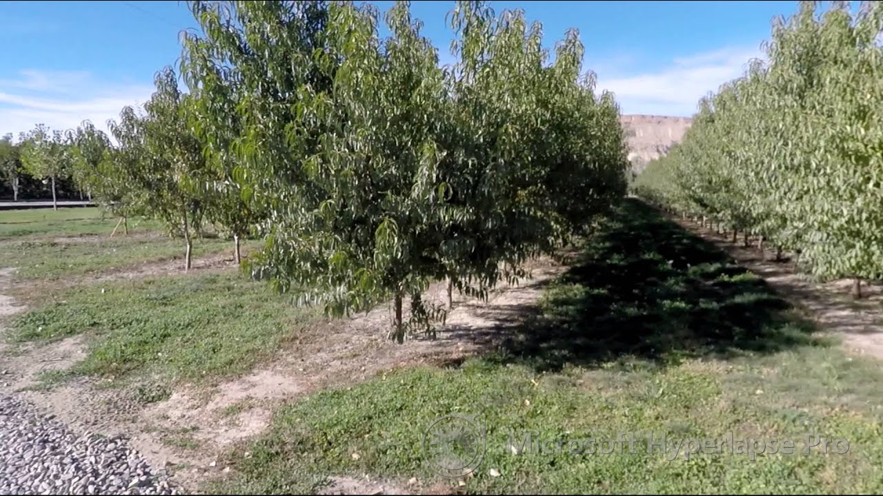 Video: GOPR5666 hyperlapse 1x adv